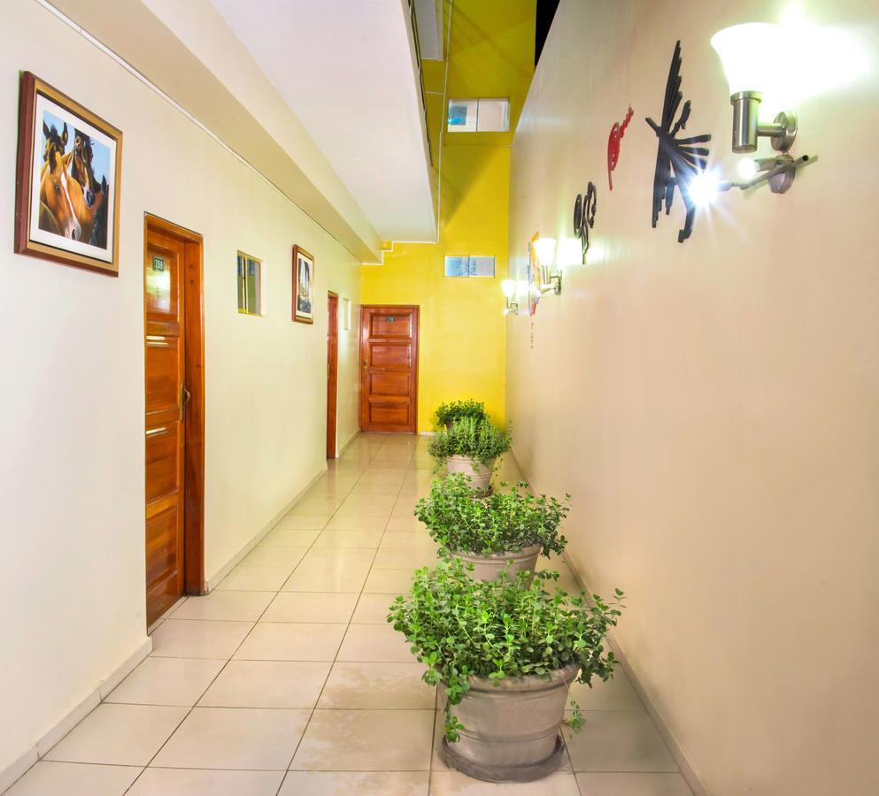 Hotel Colon Plaza Ica Buitenkant foto